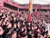 Leverkusen-FCB-11